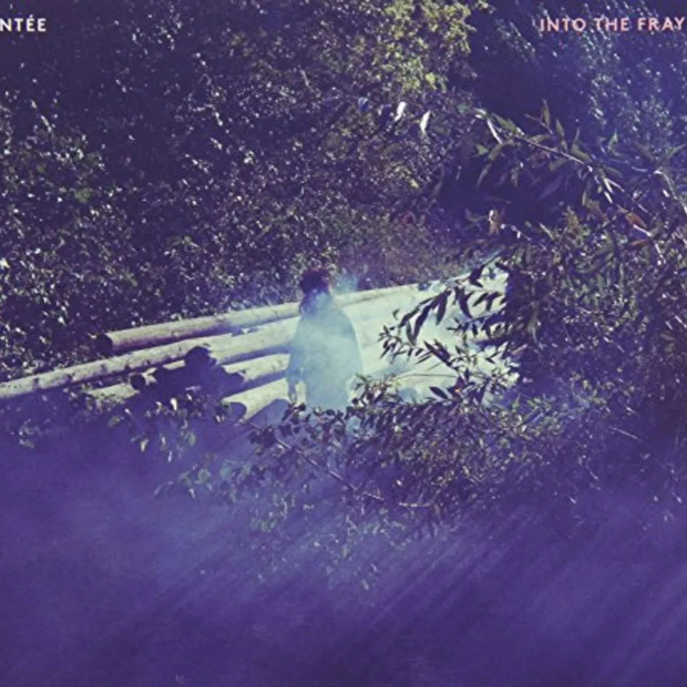 Montée INTO THE FRAY CD