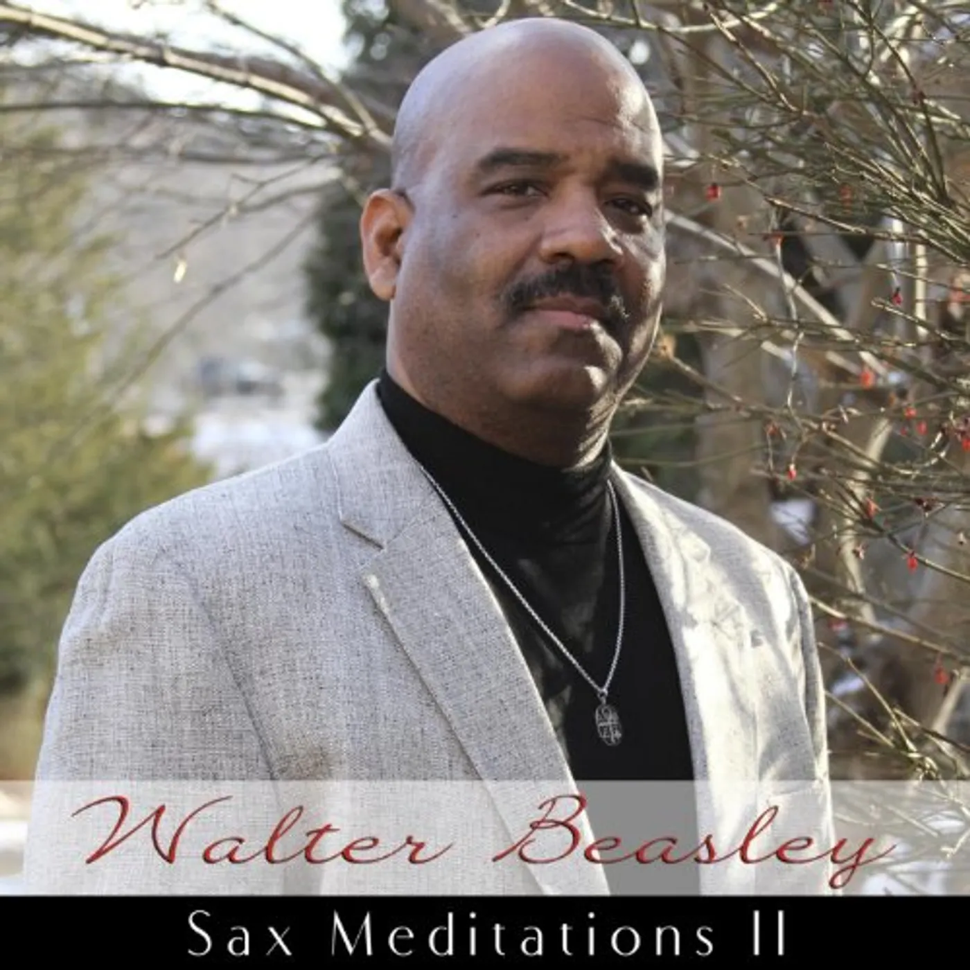 Walter Beasley SAX MEDITATIONS II CD
