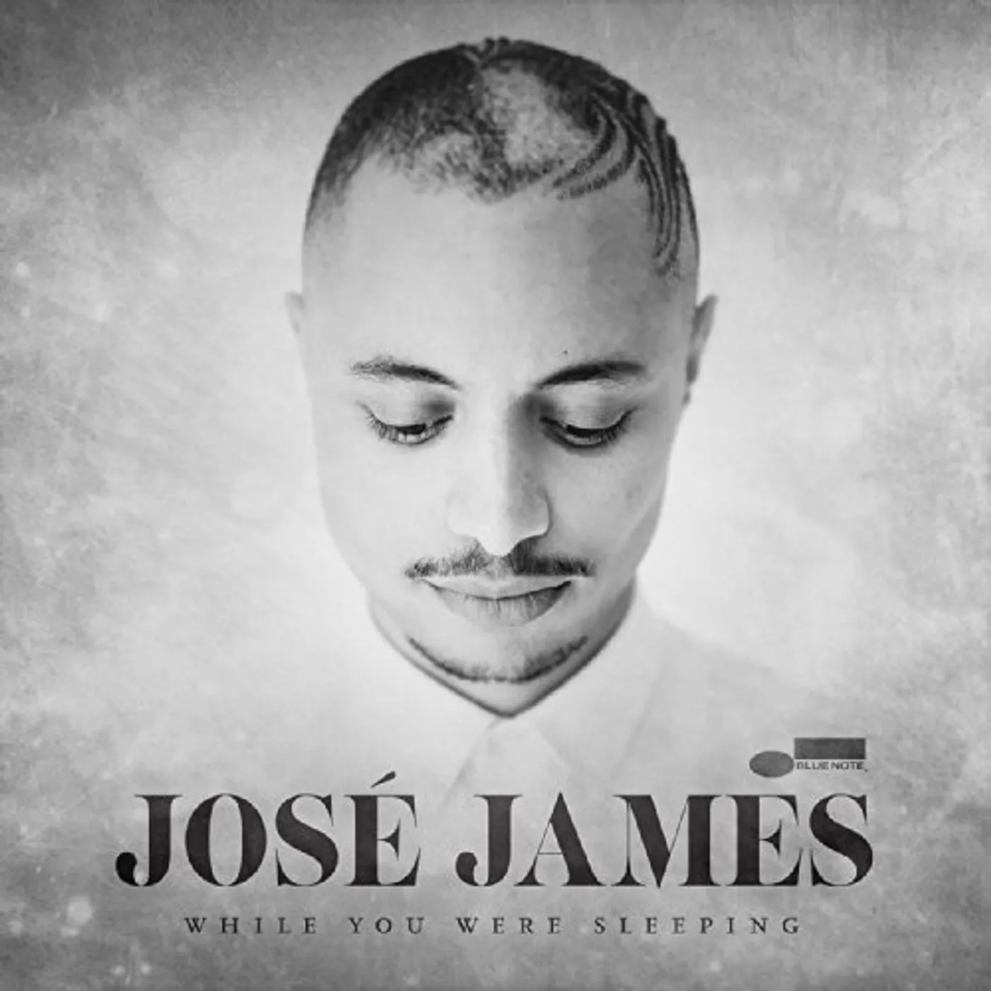 José James While You Were Sleeping Vinyl Record