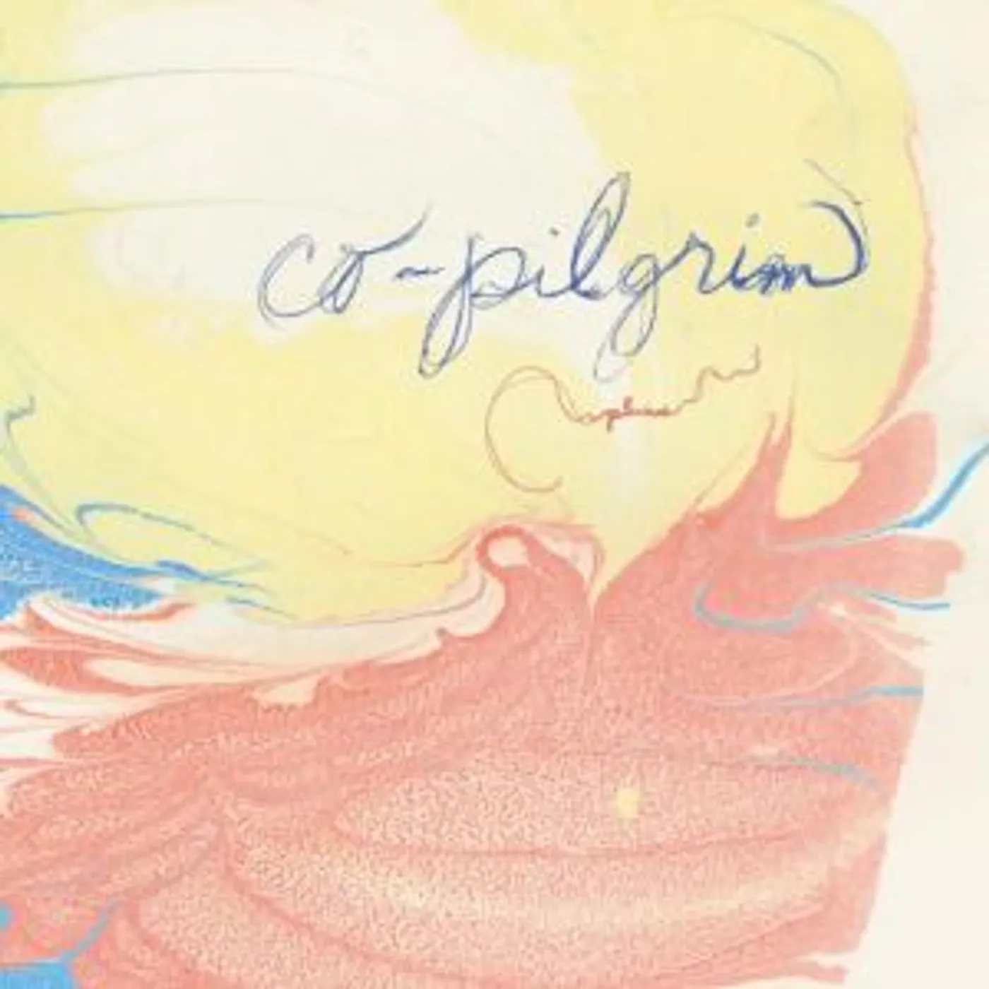 Co-pilgrim Plumes Vinyl Record