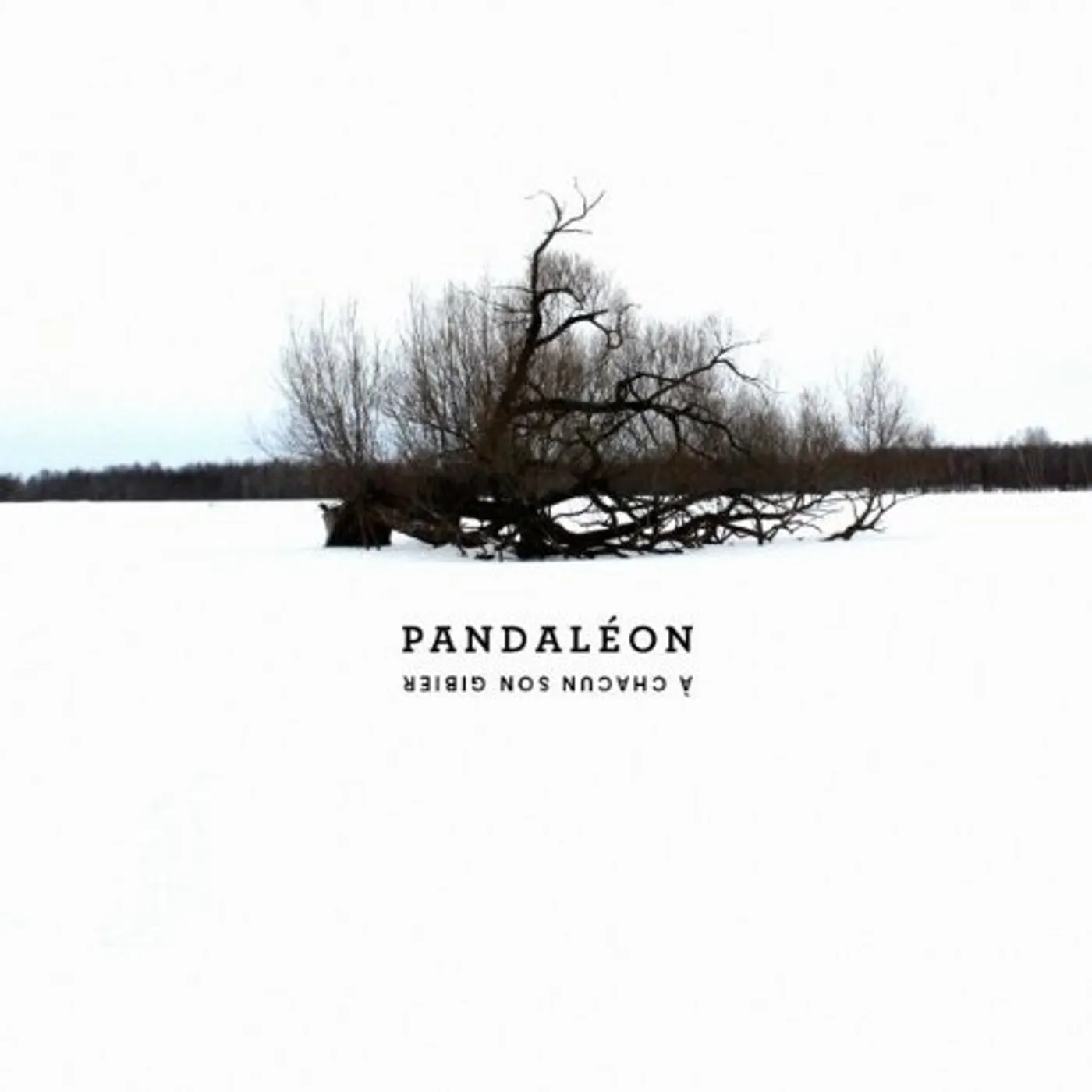 Pandaléon A CHACUN SON GIBIER CD