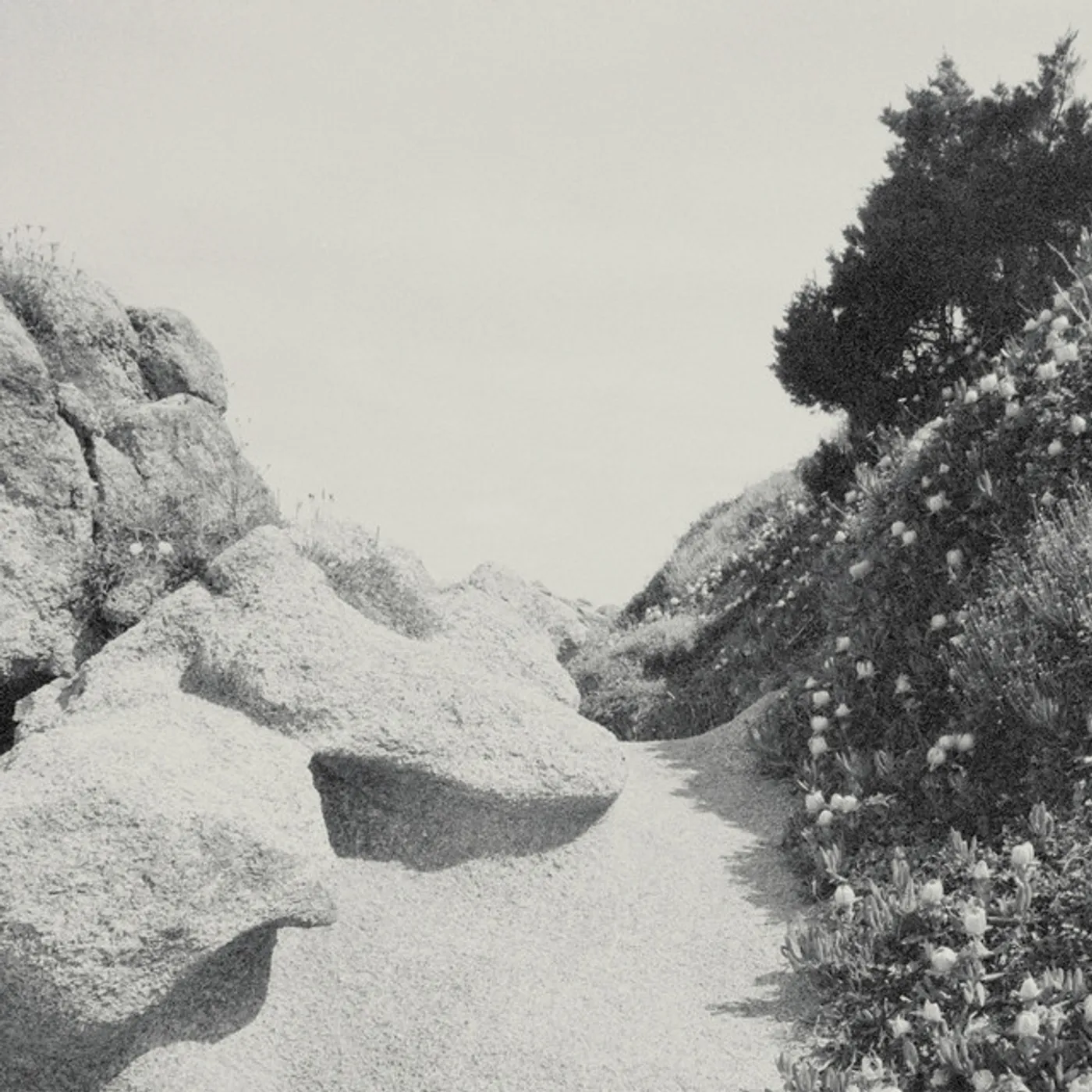 Tilman MILD WESTERN Vinyl Record