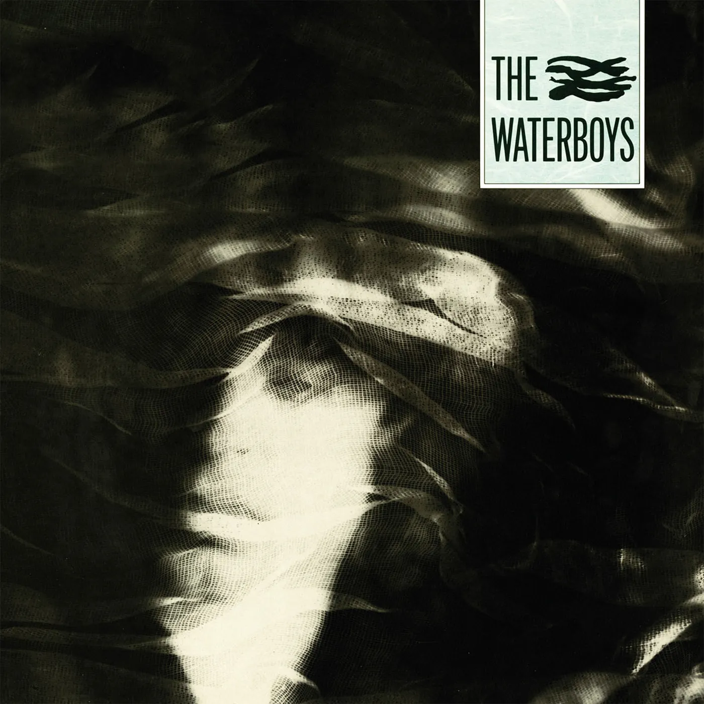 The Waterboys Vinyl Record