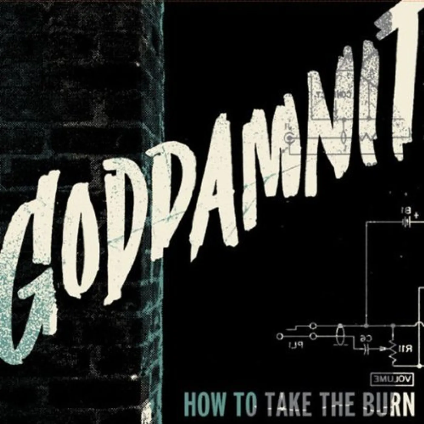 GODDAMNIT How to Take the Burn Vinyl Record