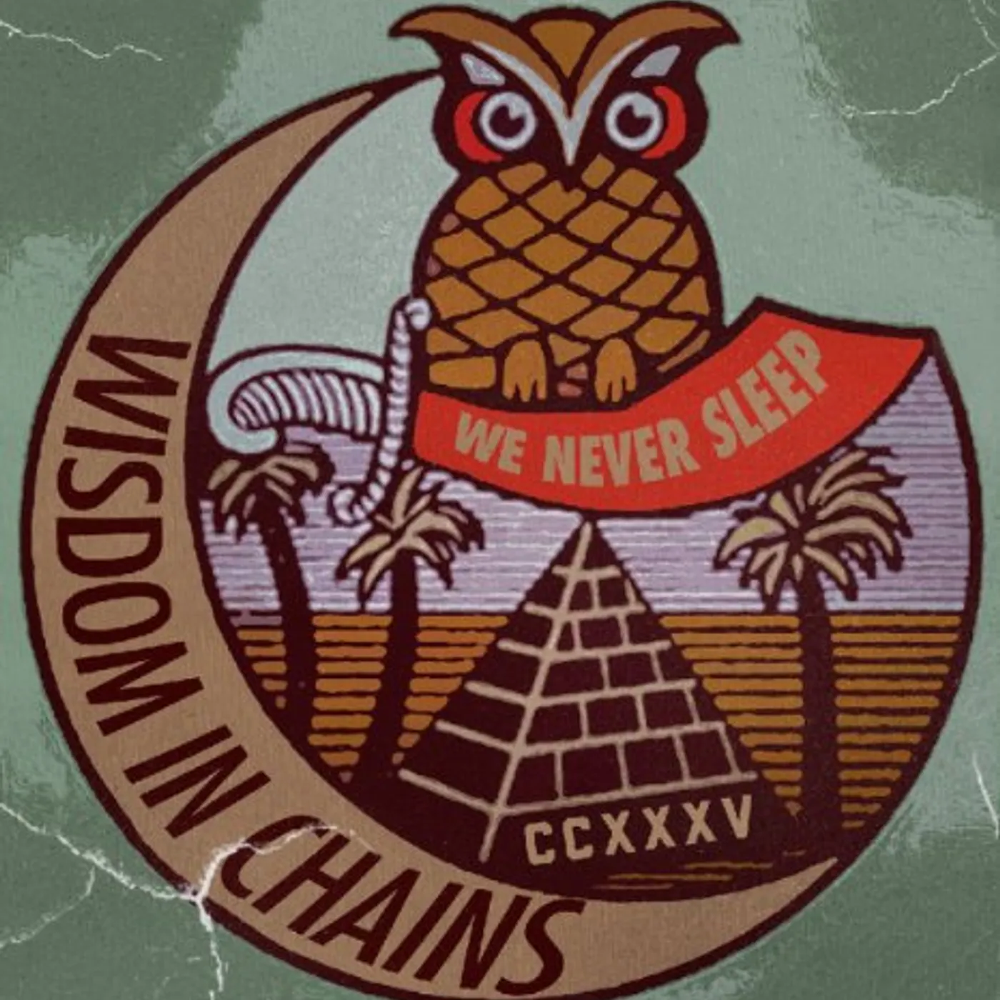 Wisdom In Chains We Never Sleep Vinyl Record