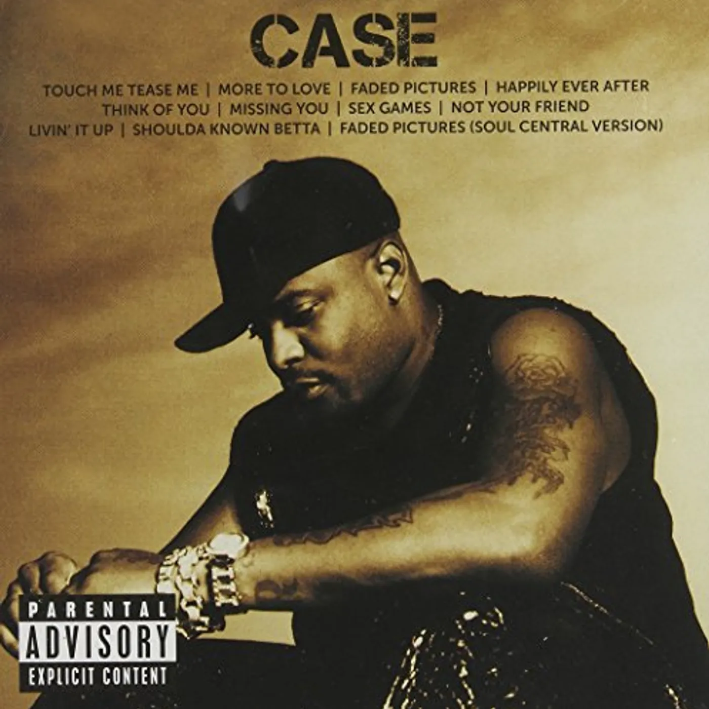 Case ICON CD