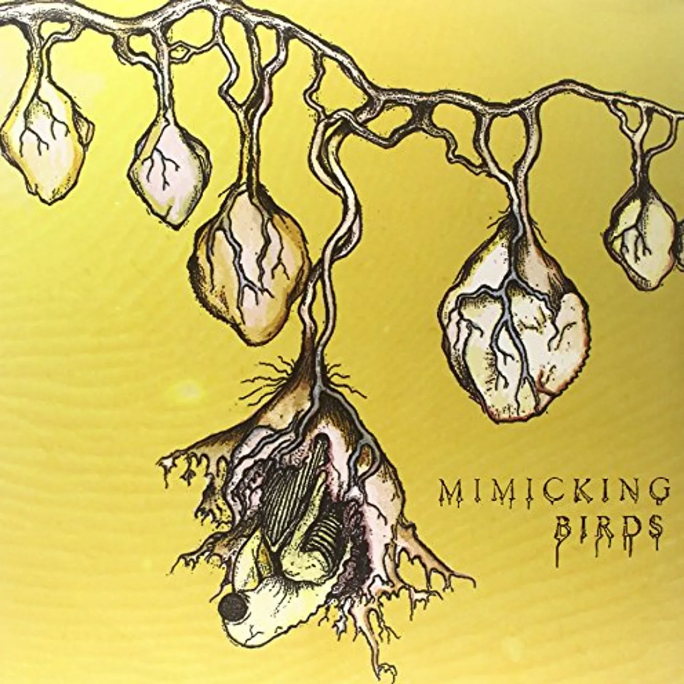 Mimicking Birds Vinyl Record