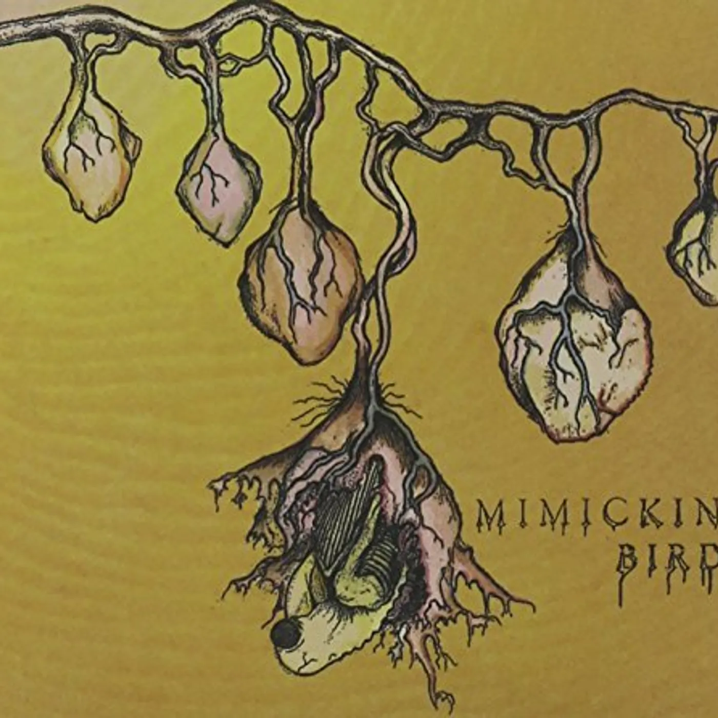 MIMICKING BIRDS CD