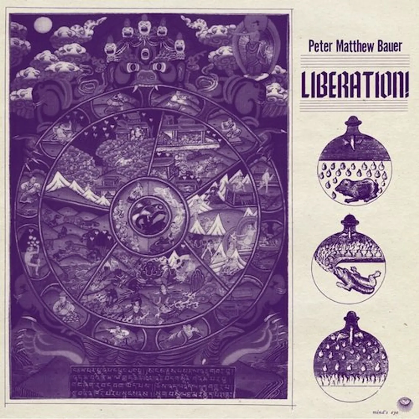 Peter Matthew Bauer LIBERATION Vinyl Record