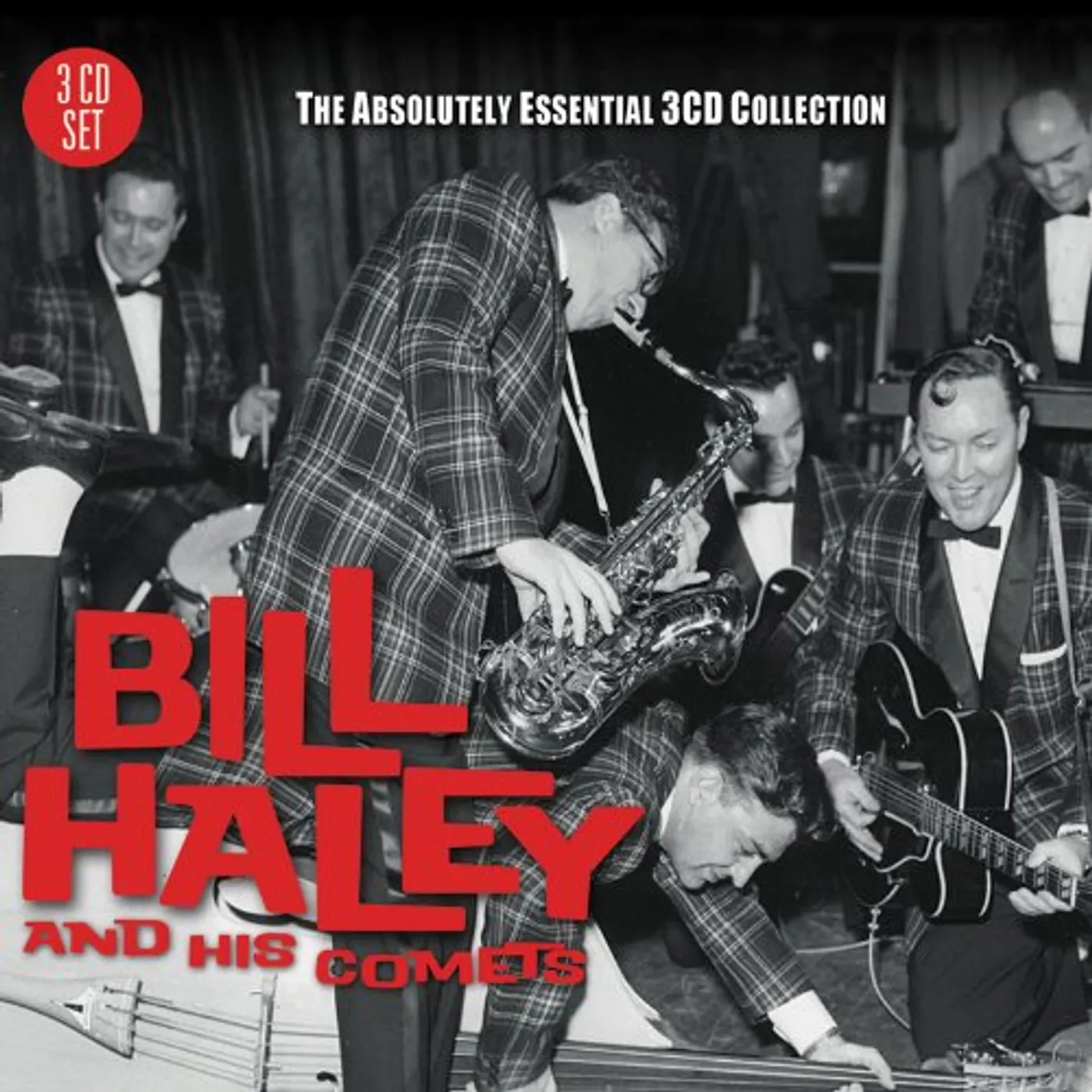 Bill Haley & His Comets ABSOLUTELY ESSENTIAL CD