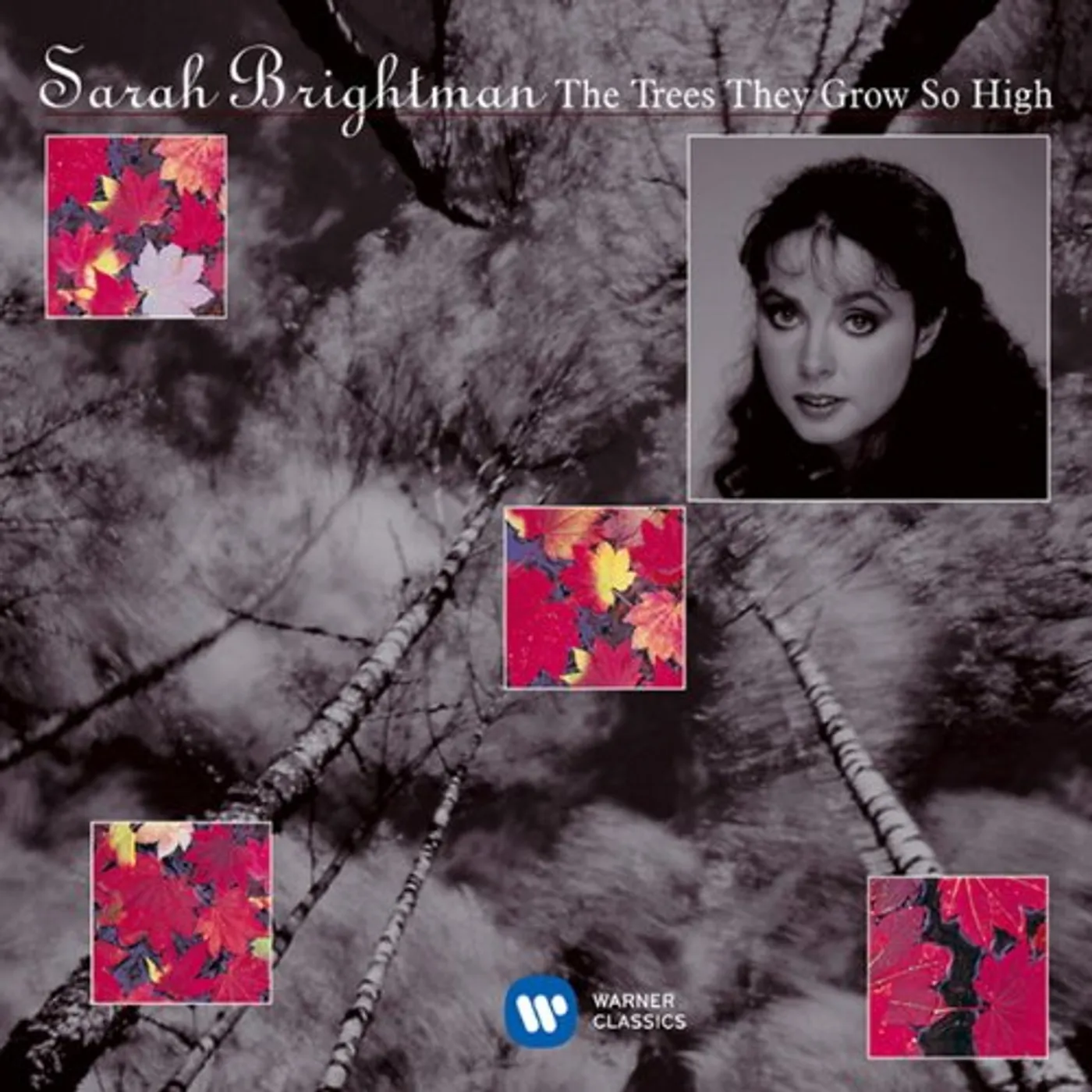 Sarah Brightman TREES THEY GROW SO HIGH' -BRITLKSONGS ARRANGEMENTS CD