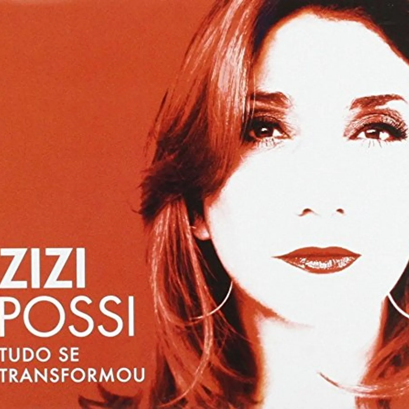 Zizi Possi TUDO SE TRANSFORMOU CD