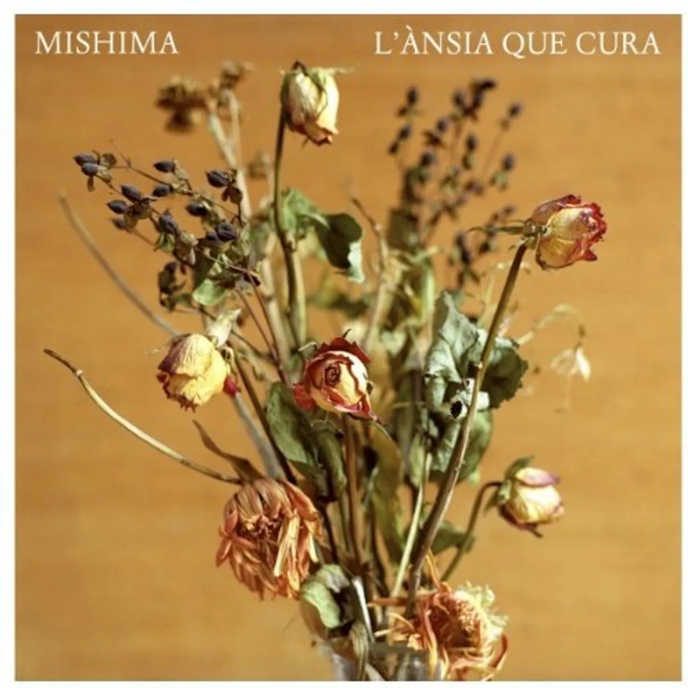 Mishima L'ANSIA QUE CURA-VINILO Vinyl Record