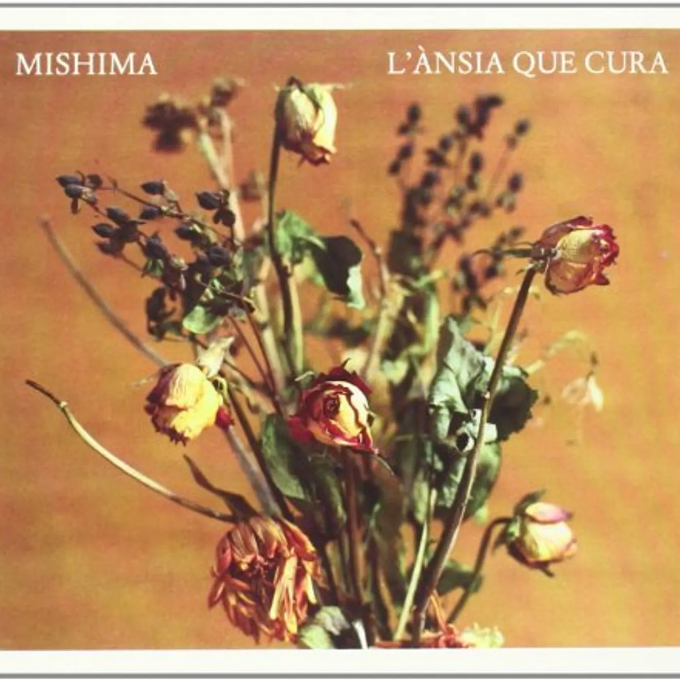 Mishima L'ANSIA QUE CURA-DIGIFILE CD