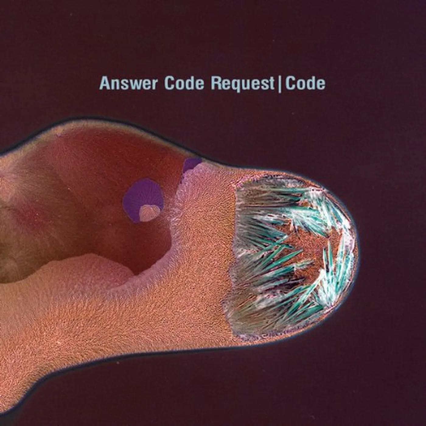 Answer Code Request Code Vinyl Record