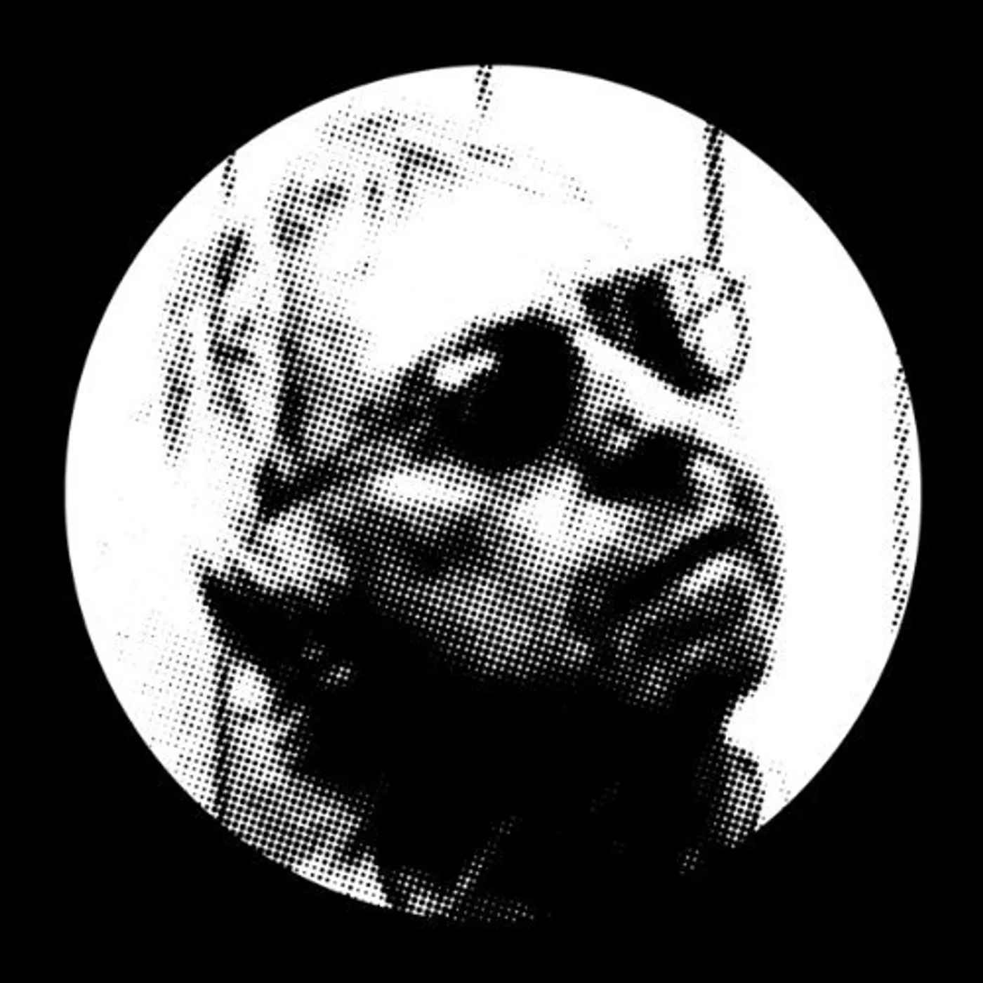 Harold Budd Remixes Vinyl Record