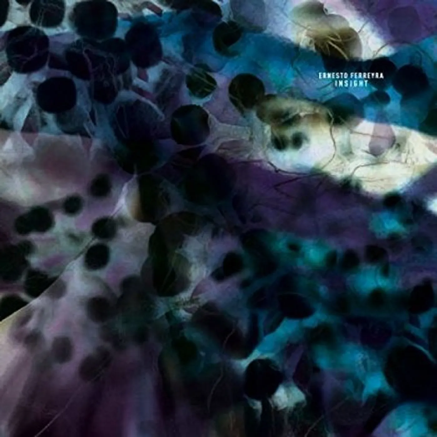 Ernesto Ferreyra Insight Vinyl Record