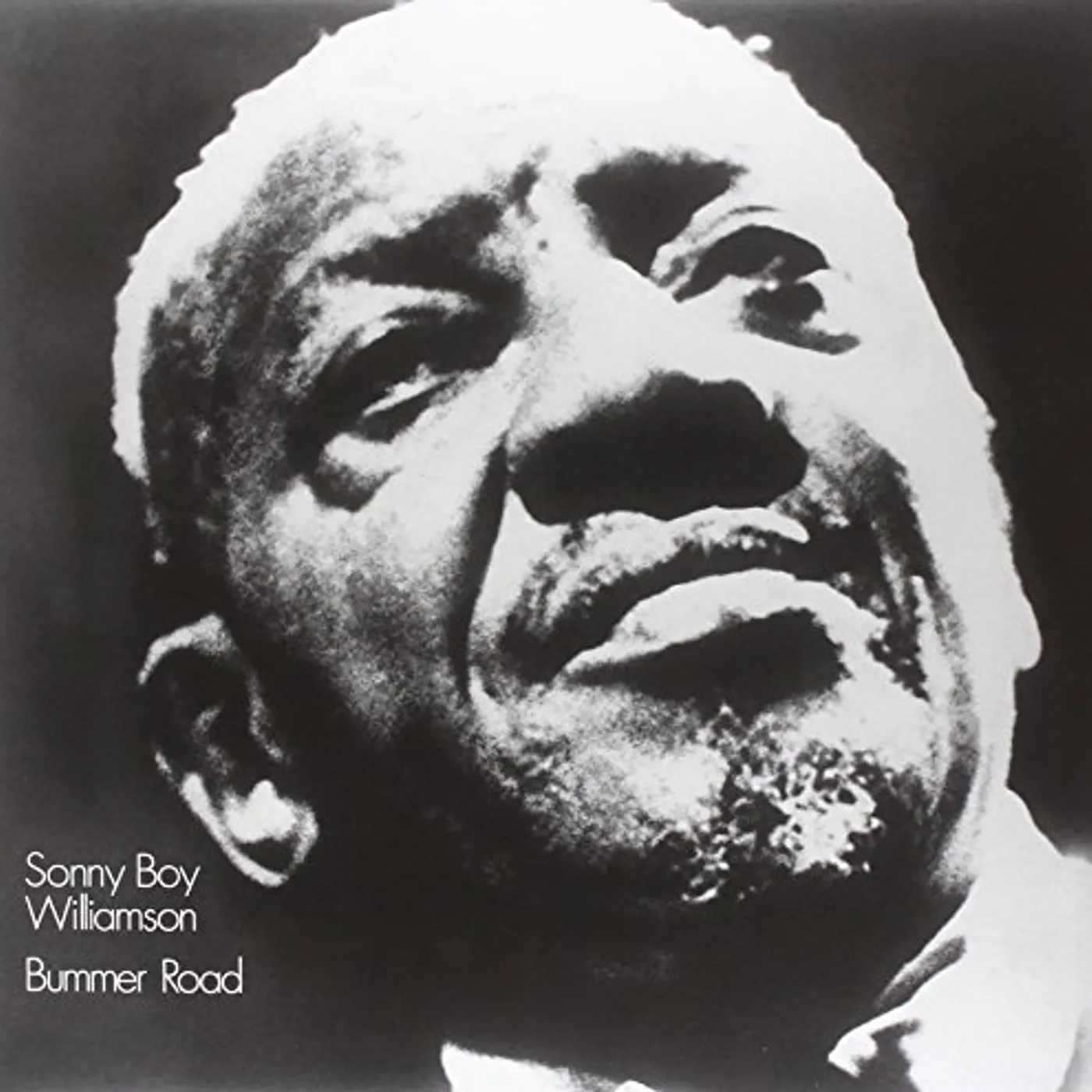 Sonny Boy Williamson Bummer Road Vinyl Record