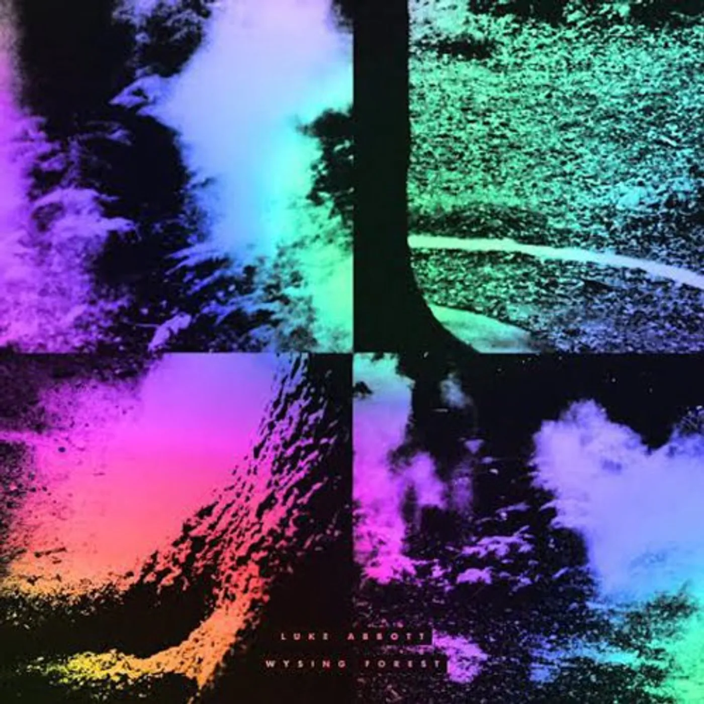 Luke Abbott Wysing Forest Vinyl Record