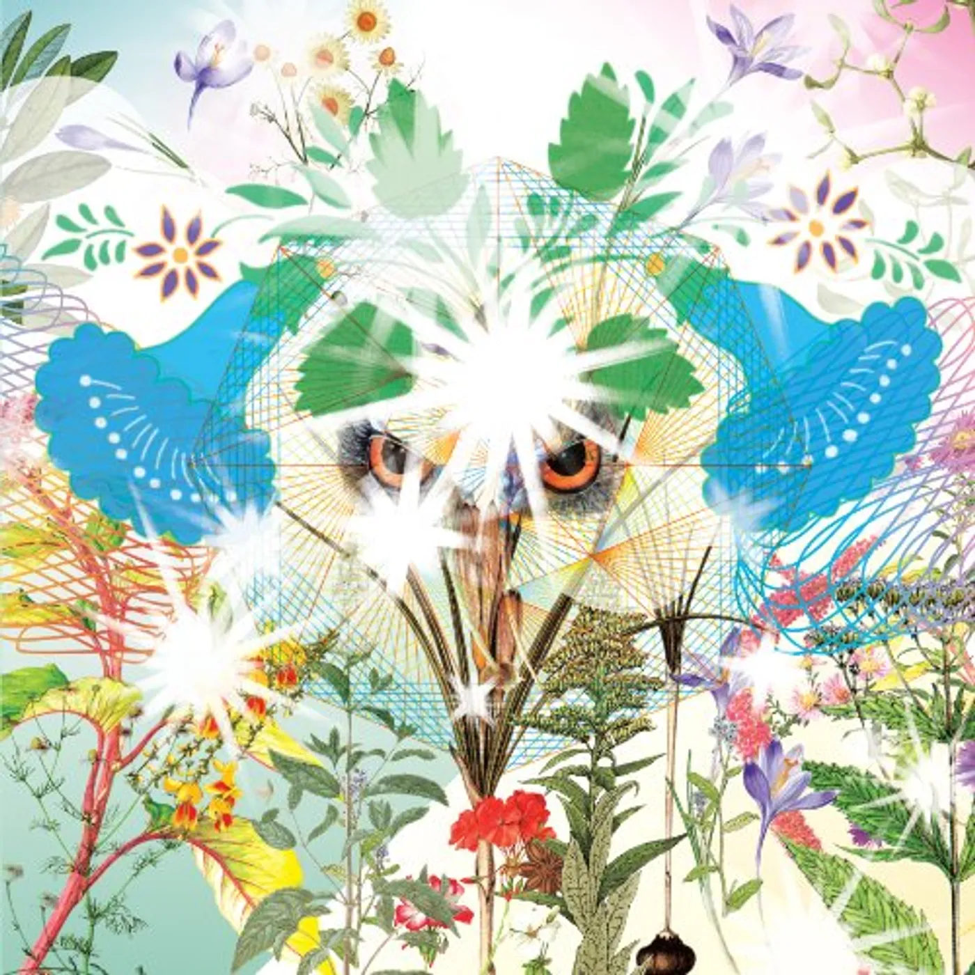 OOIOO Gamel Vinyl Record