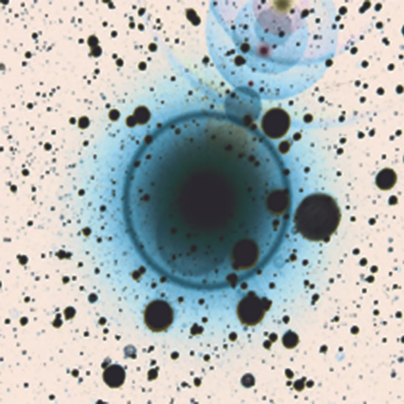 Zero 7 SIMPLE SILENCE Vinyl Record