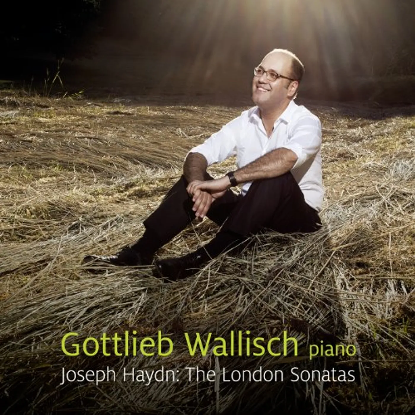 Haydn LONDON SONATAS Super Audio CD