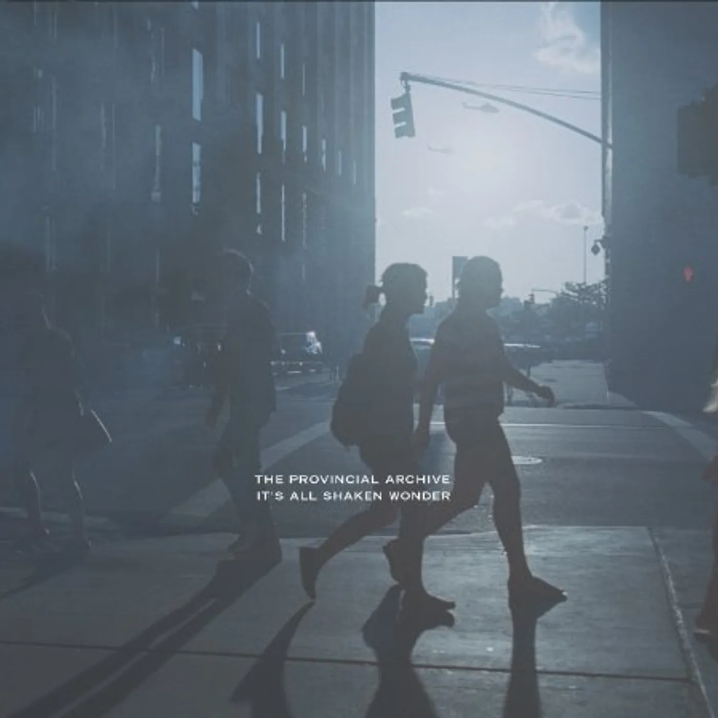 The Provincial Archive It's All Shaken Wonder Vinyl Record