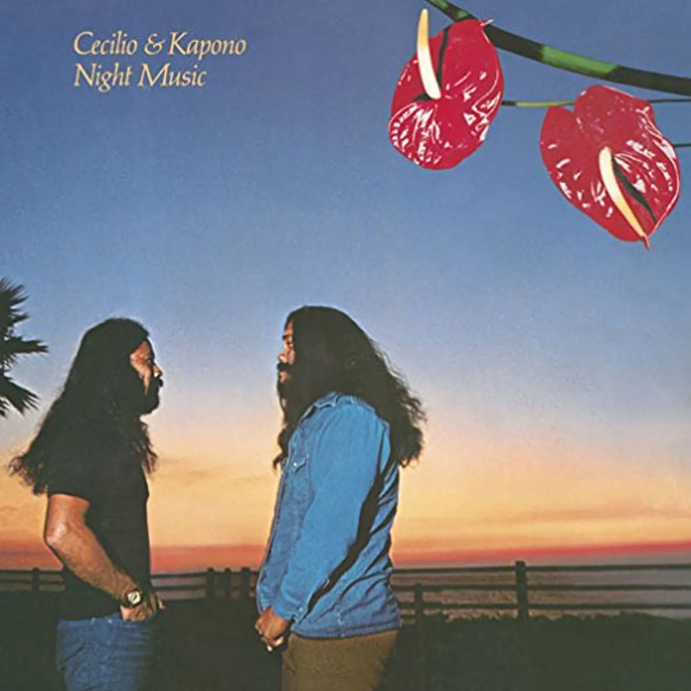 Cecilio & Kapono NIGHT MUSIC CD