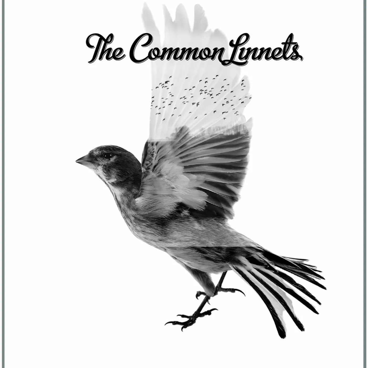 The Common Linnets Vinyl Record