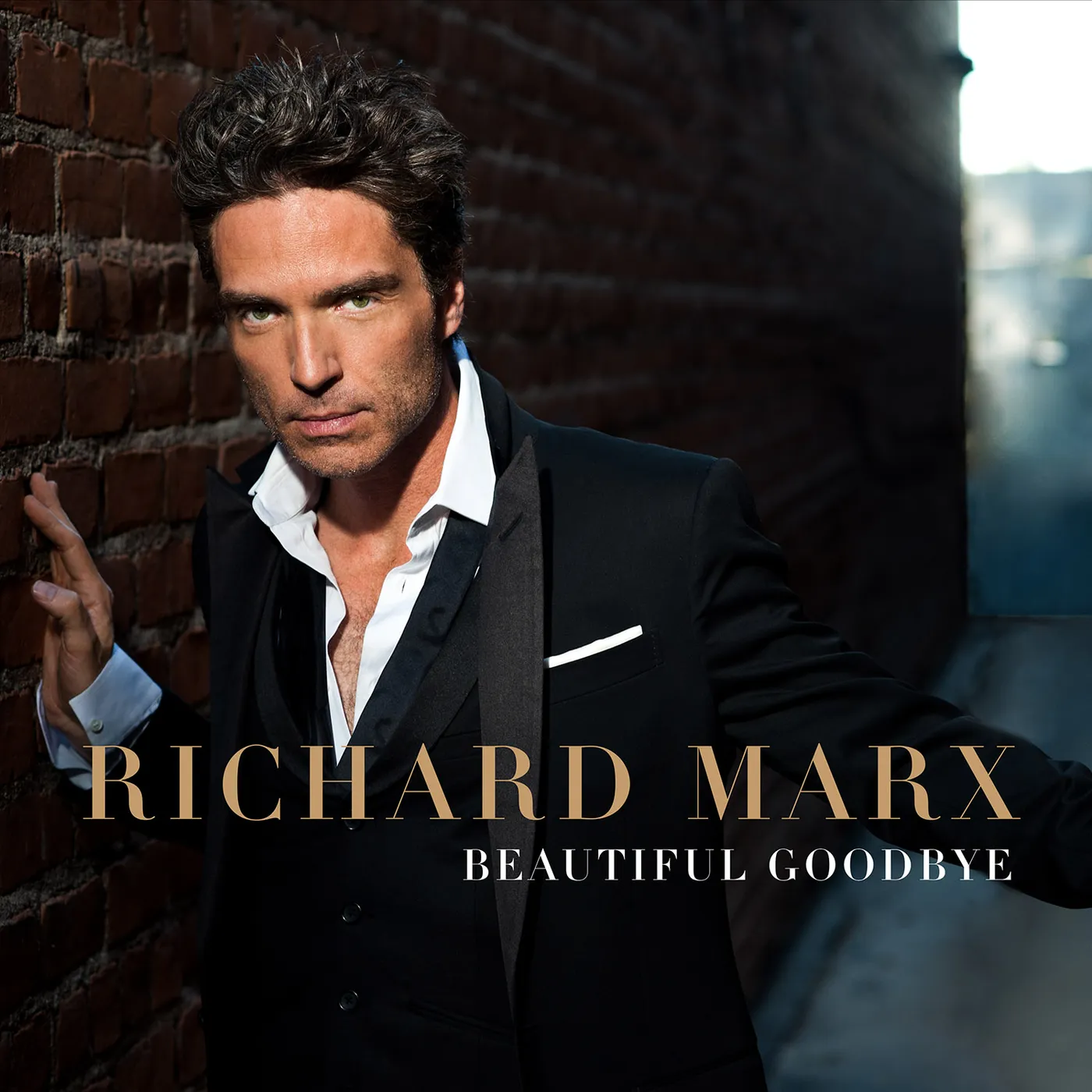 Richard Marx BEAUTIFUL GOODBYE CD
