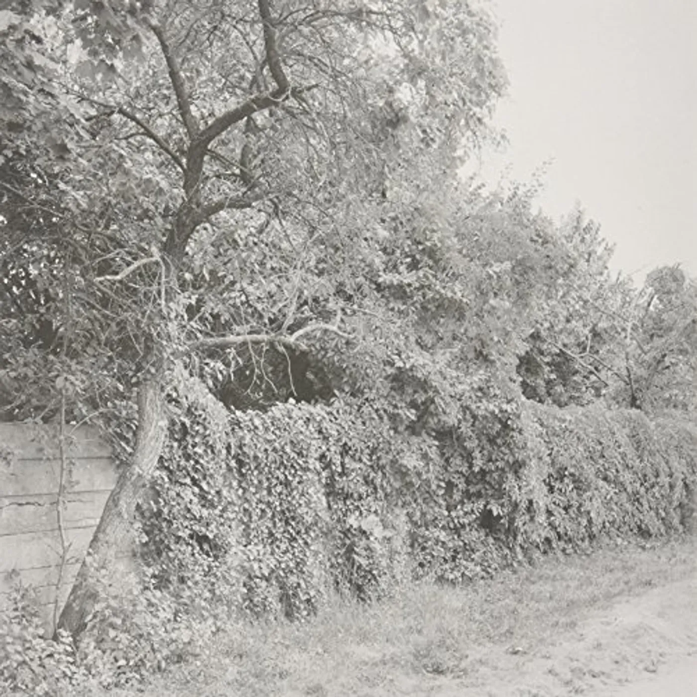 Seth Schwarz Jabel Vinyl Record