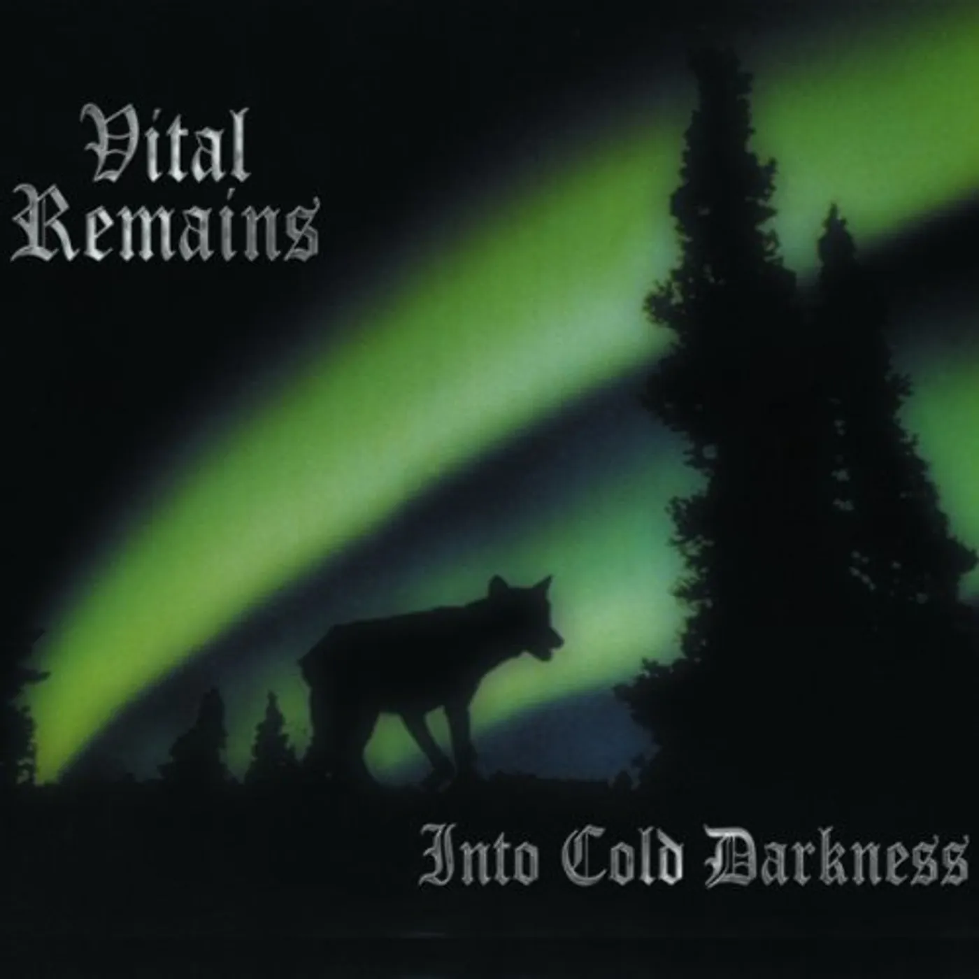 Vital Remains Into Cold Darkness Vinyl Record