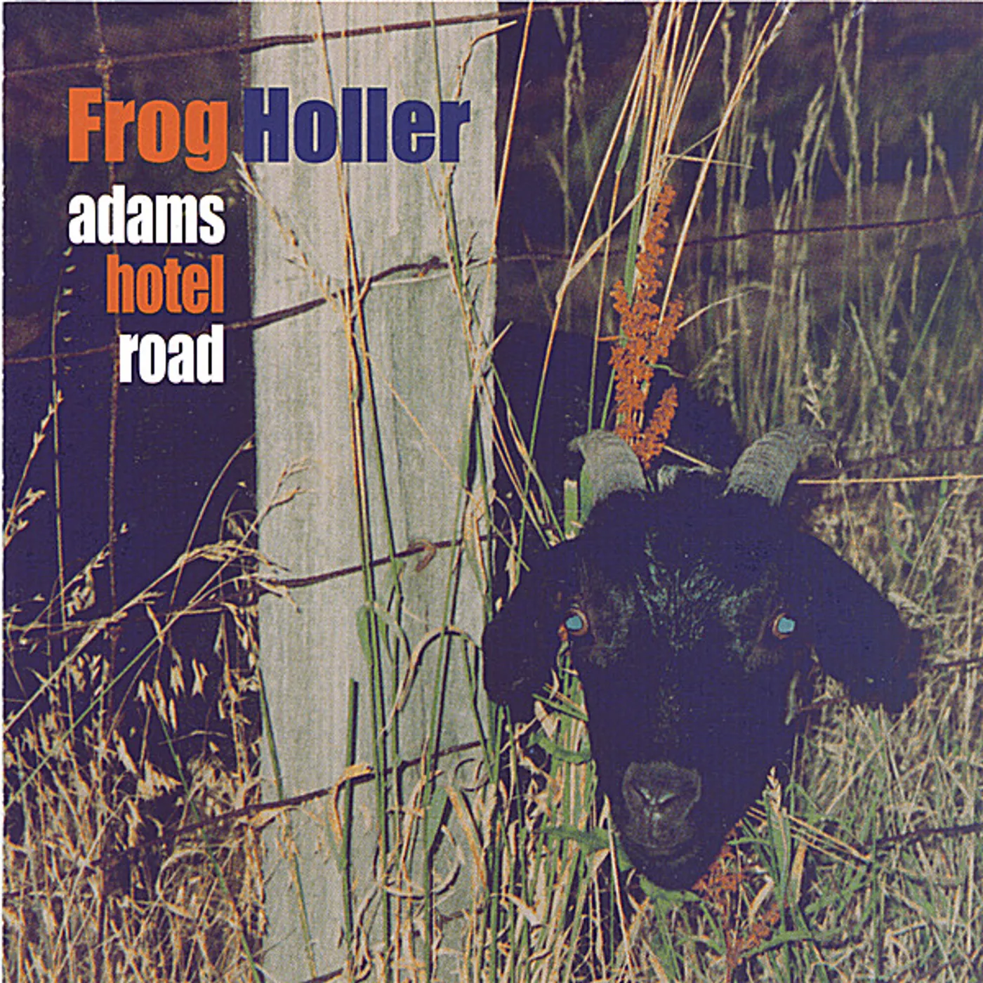 Frog Holler ADAMS HOTEL ROAD CD