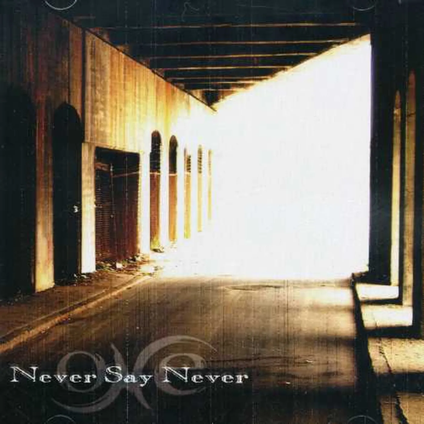 One NEVER SAY NEVER CD