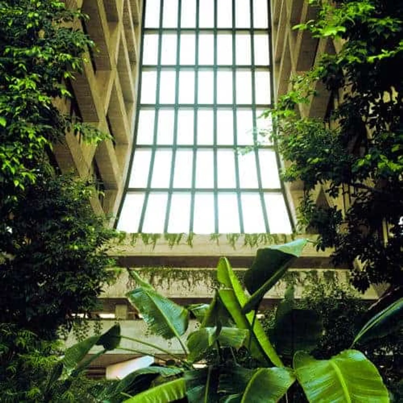 ADR SOLITARY PURSUITS Vinyl Record - UK Release