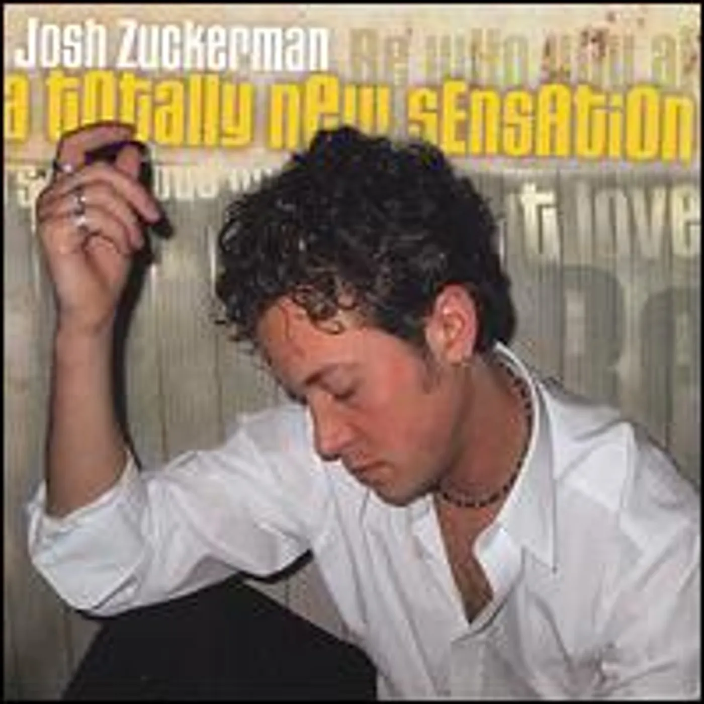 Josh Zuckerman TOTALLY NEW SENSATION CD