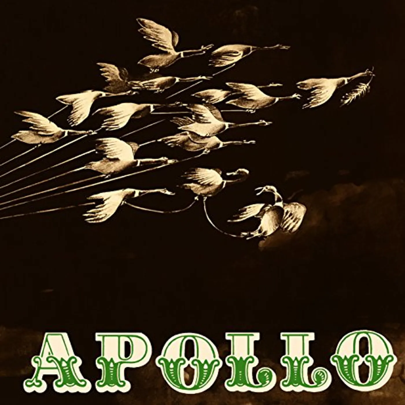 APOLLO Vinyl Record