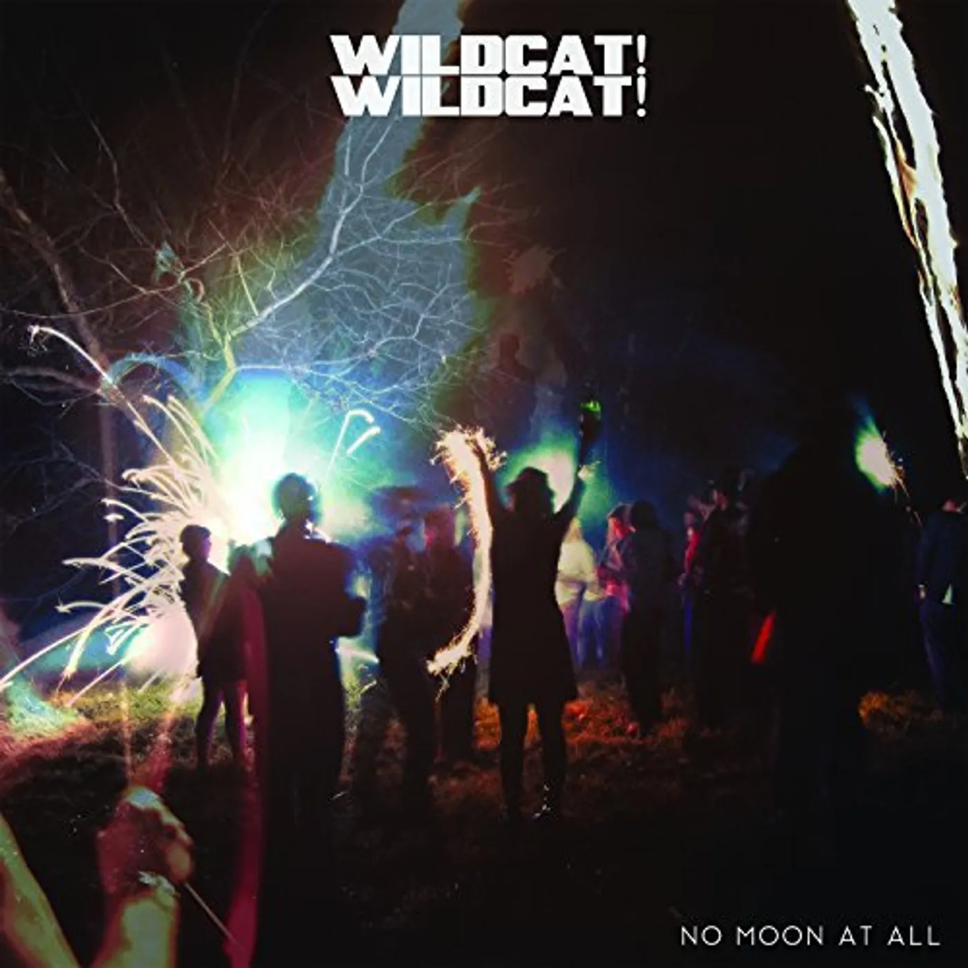 Wildcat! Wildcat! No Moon At All Vinyl Record