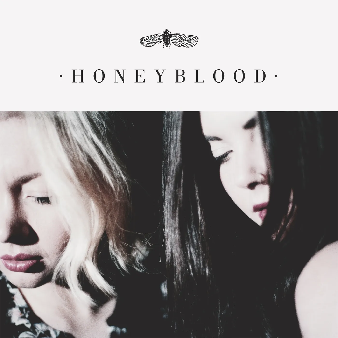 HONEYBLOOD CD