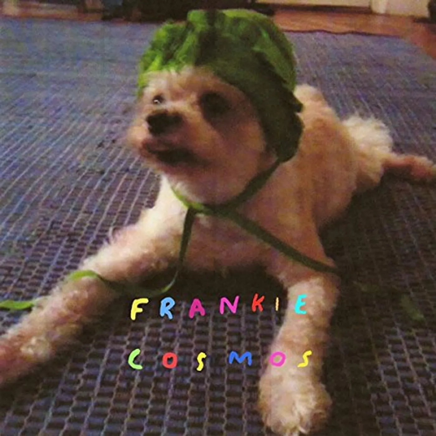 Frankie Cosmos Zentropy Vinyl Record