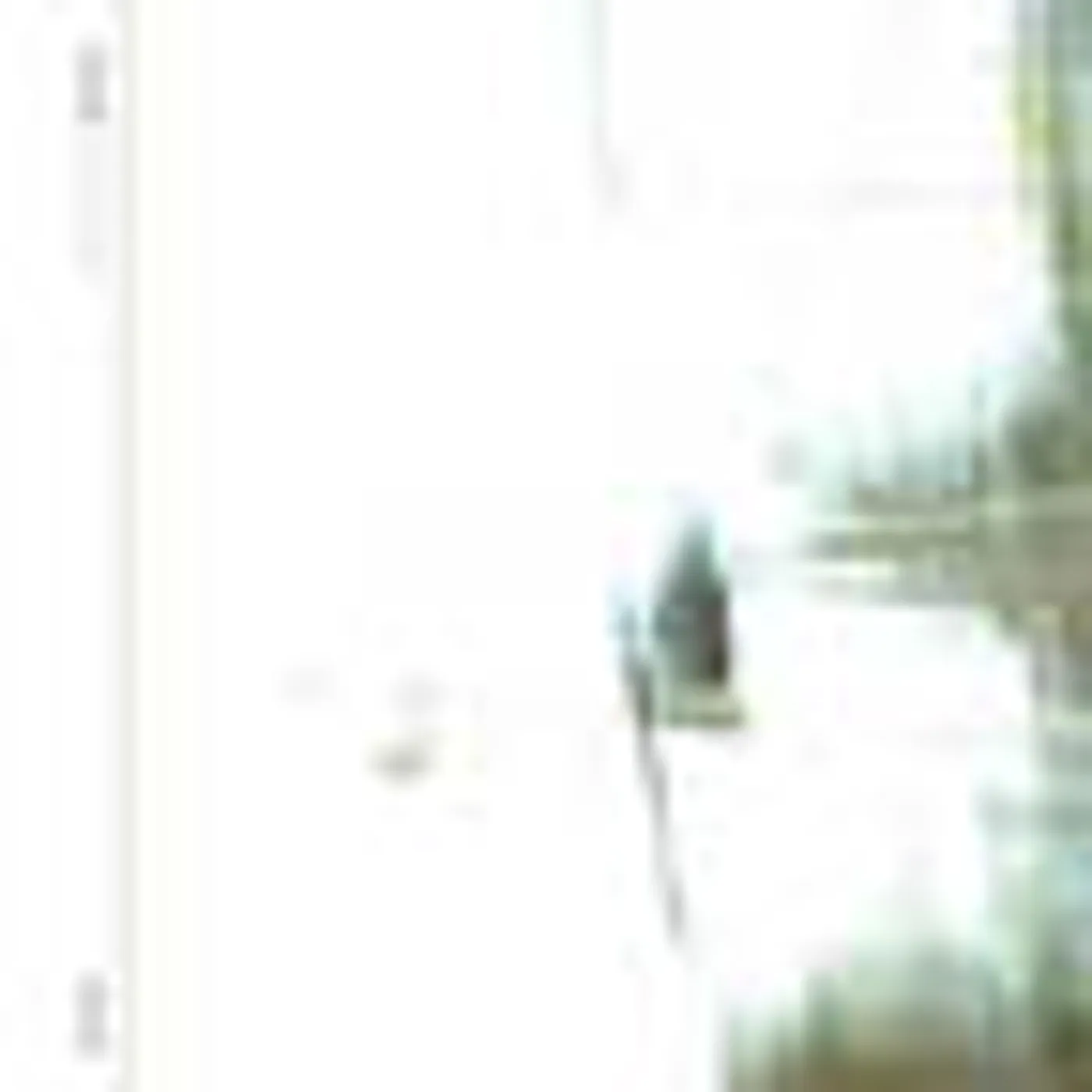 Motion EVERY ACTION CD