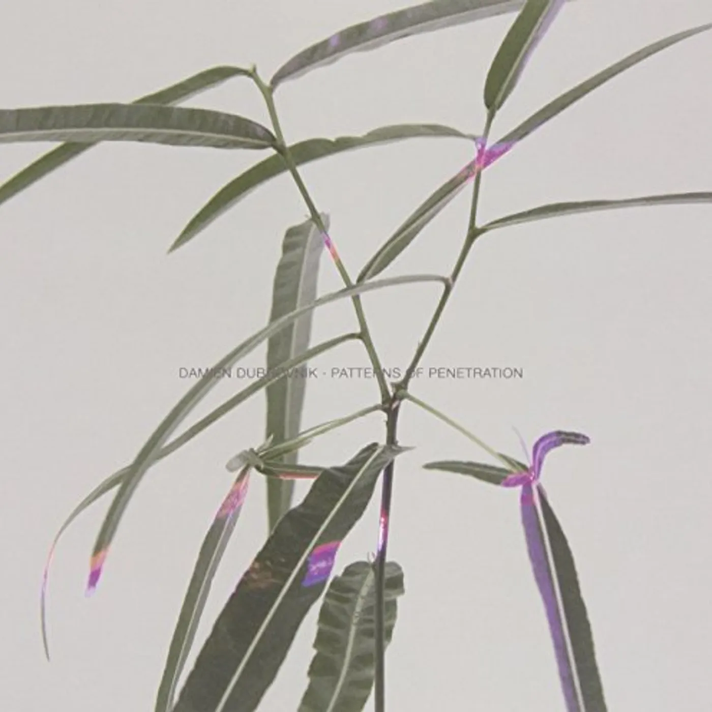 Damien Dubrovnik Patterns of Penetration Vinyl Record