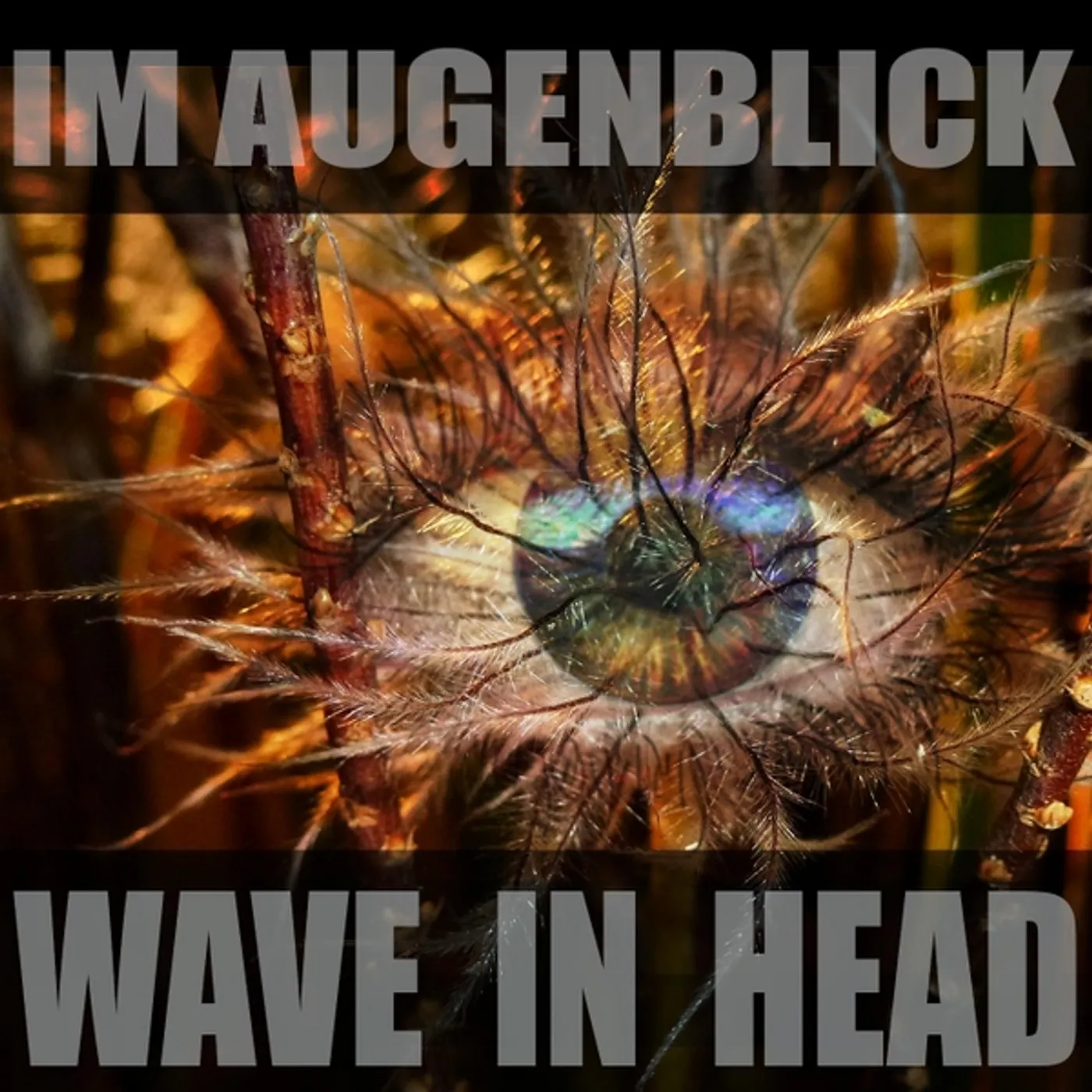 Wave in head IM AUGENBLICK CD