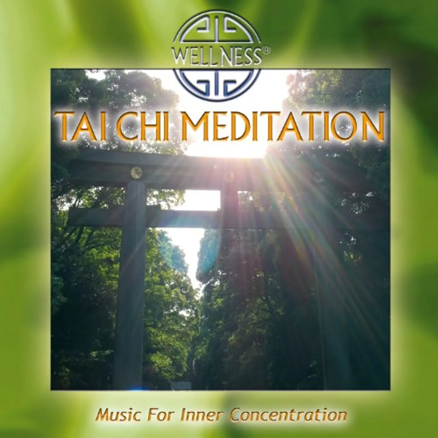 Temple Society TAI CHI MEDITATION: MUSIC FOR INNER CONCENTRATION CD
