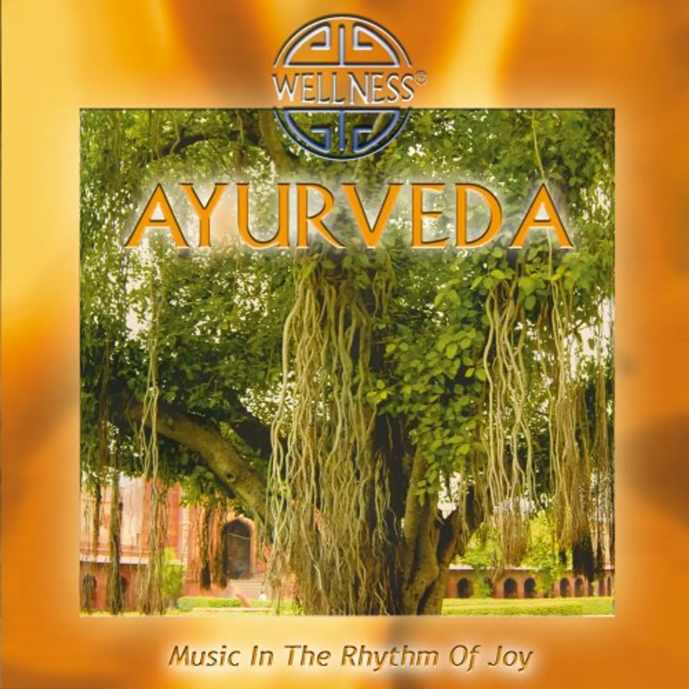 Guru Atman AYURVEDA: MUSIC IN THE RHYTHM OF JOY CD