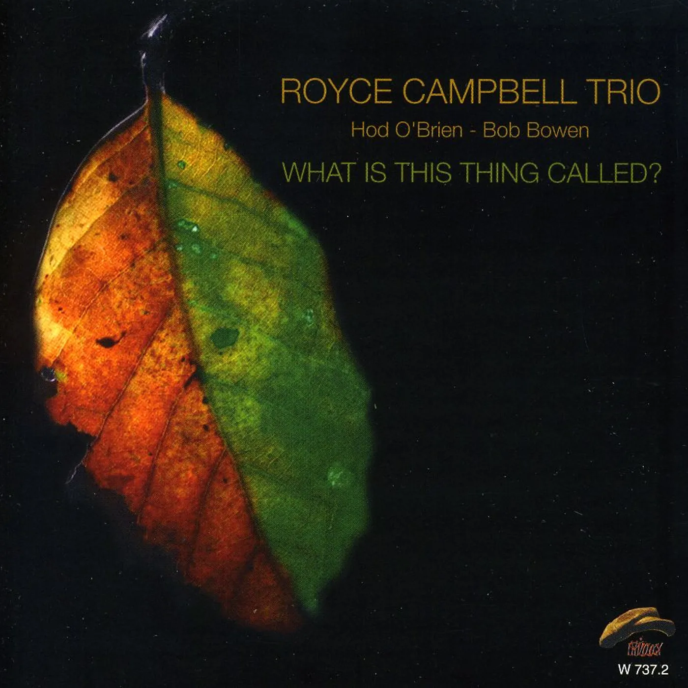 Royce Campbell WHAT IS THIS THING CALLED CD