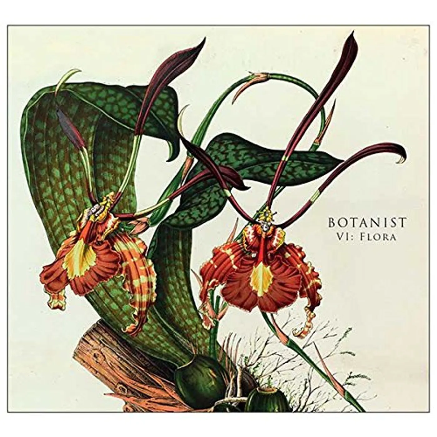 Botanist VI: FLORA CD