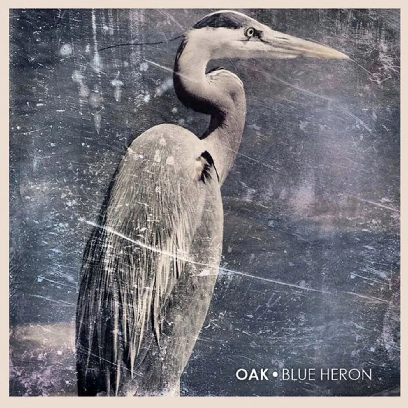 Oak BLUE HERON CD