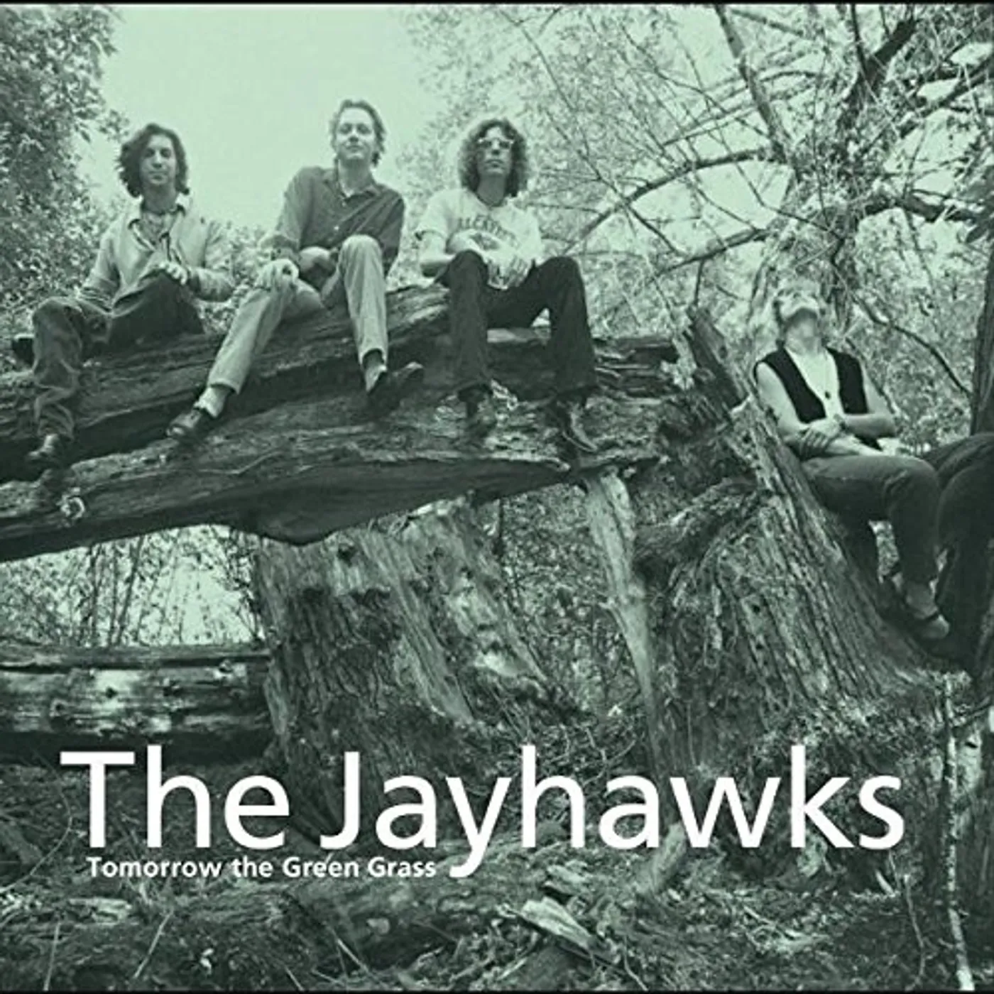 The Jayhawks Tomorrow The Green Grass Vinyl Record
