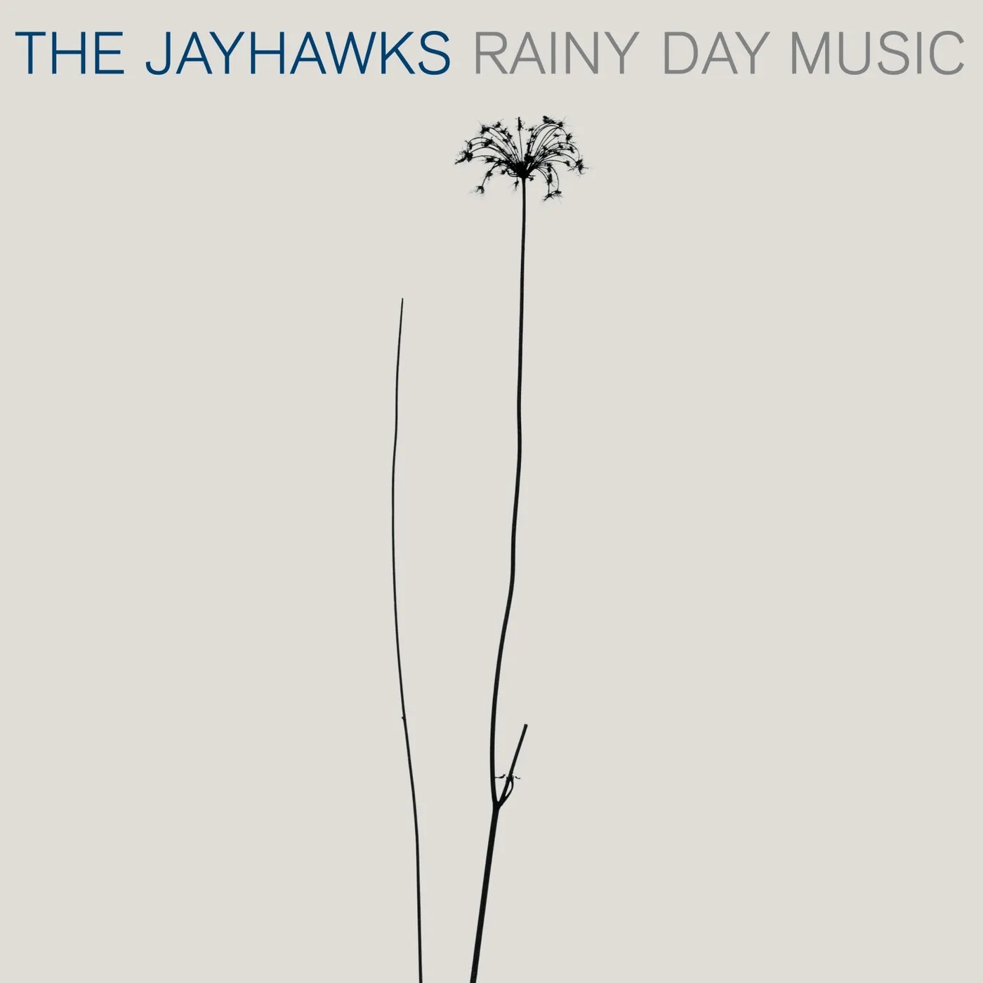 The Jayhawks Rainy Day Music Vinyl Record